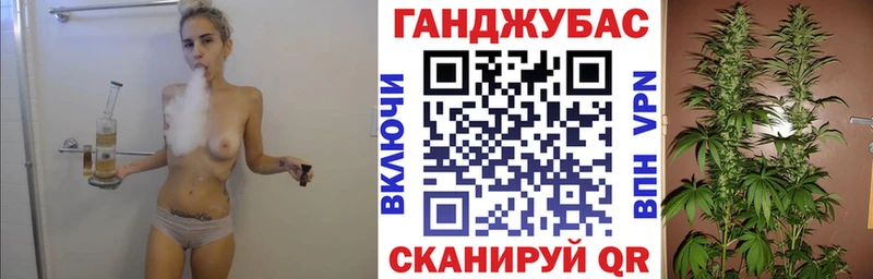 Альфа ПВП Среднеколымск