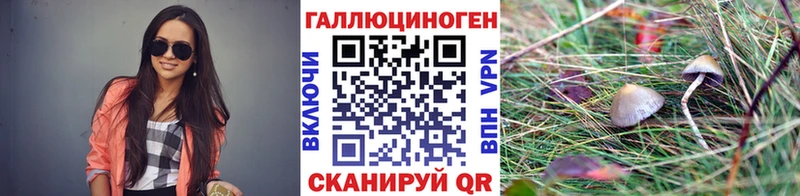 Галлюциногенные грибы Magic Shrooms  Среднеколымск 